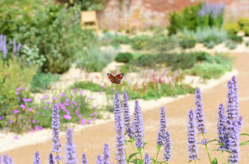 The new Mediterranean Garden contains many plants for pollinatorsat Beningbrough_