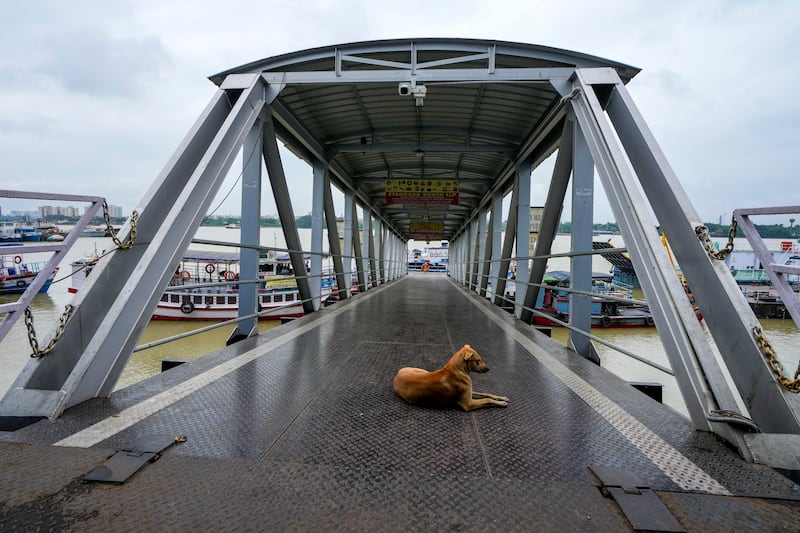 A stray dog sits on an empty jetty on Hooghly River in India after ferry services were suspended due to the approaching tropical storm Dana (Bikas Das/AP)