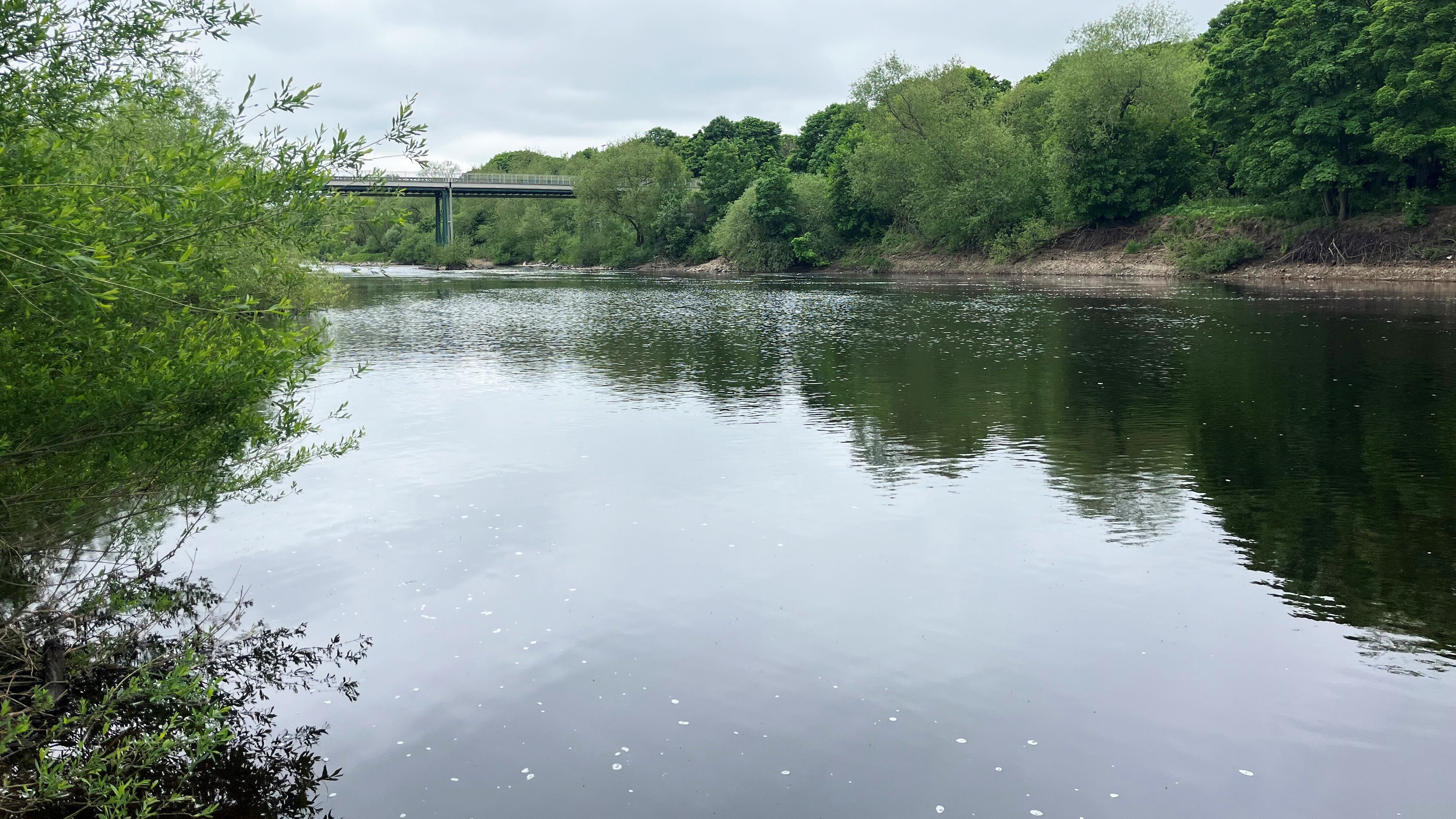 A stretch of the River Tyne at Ovingham, Northumberland