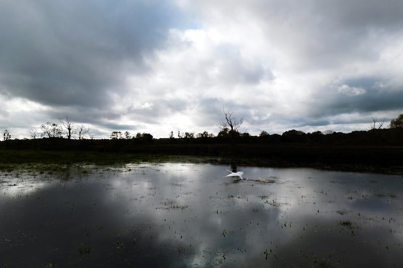 A swan takes off from a flooded field as stormy skies roll in near Mountsorrel in Leicestershire