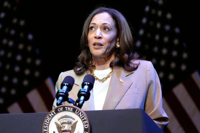 Vice President Kamala Harris delivers remarks at a campaign event (AP Photo/Stephanie Scarbrough)