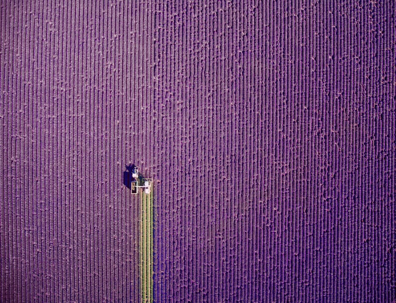 Provence summer trim by Jerome Courtial (Jerome Courtial @jcourtial/Dronestagram)