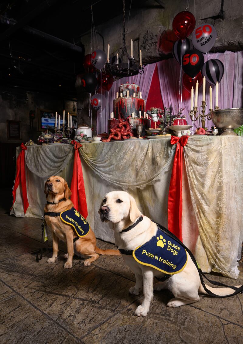 The London Dungeon, Blackpool Tower Dungeon, Edinburgh Dungeon, and Warwick Castle are opening their doors this month to guide dog puppies