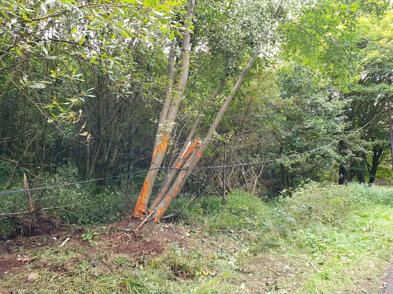 The site of the road traffic collision outside Park Village in Co Derry where Noah Karran lost his life.