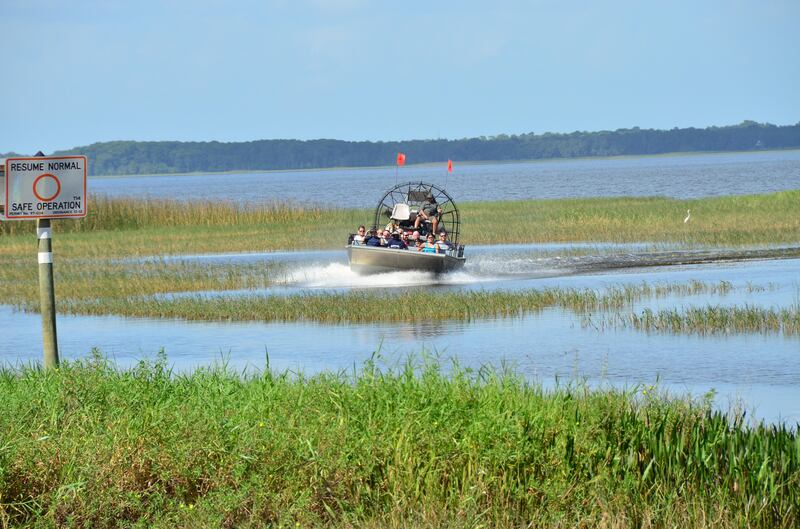 The Everglades