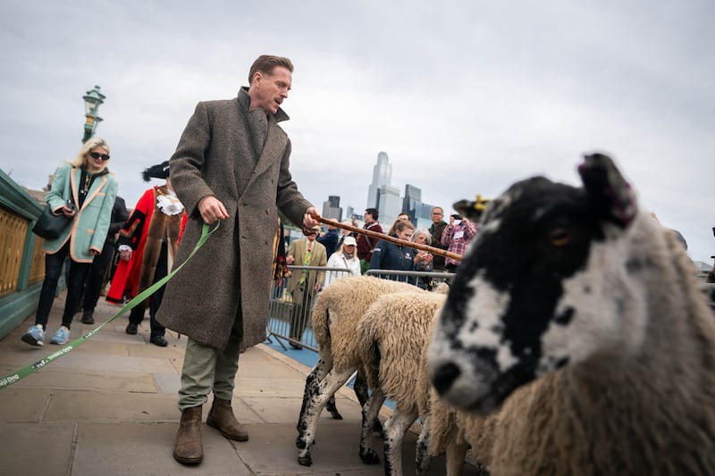 As a Freeman of the City of London Damian Lewis has the historic entitlement to drive their sheep over the River Thames toll free, retracing the steps of London’s ancient trading routes