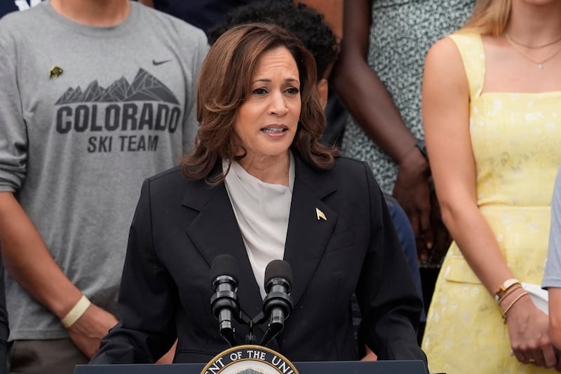 Kamala Harris speaks from the South Lawn of the White House in Washington (Alex Brandon/AP)