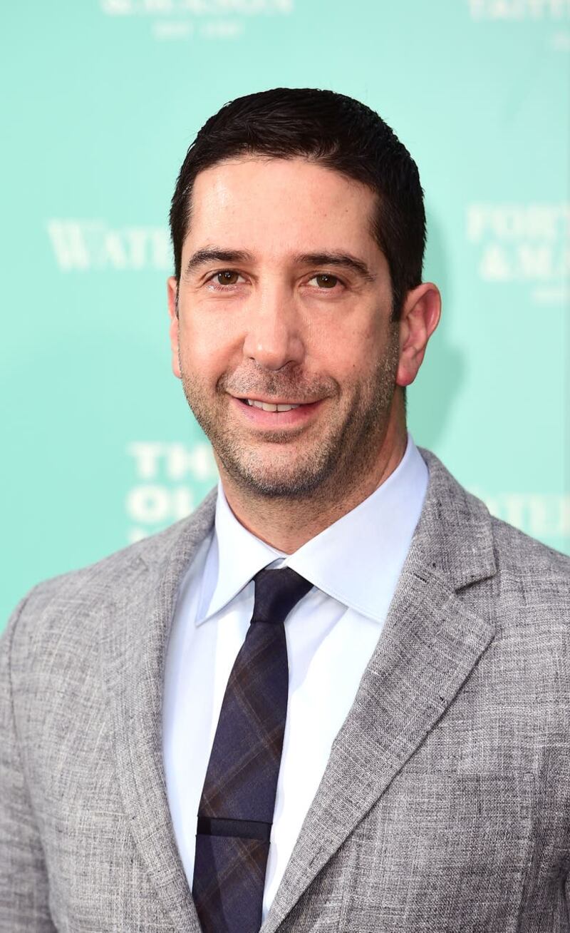 David Schwimmer