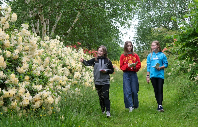 Pupils from St Paul’s PS Irvinestown, King’s Park PS Lurgan and Deravoy NS Co Monaghan take part in the Pushkin Trust workshop at Baronscourt Estate.
PIC COLM LENAGHAN