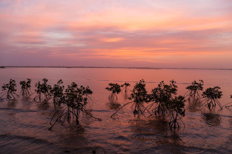 Sunset on the Sine Saloum Delta Senegal