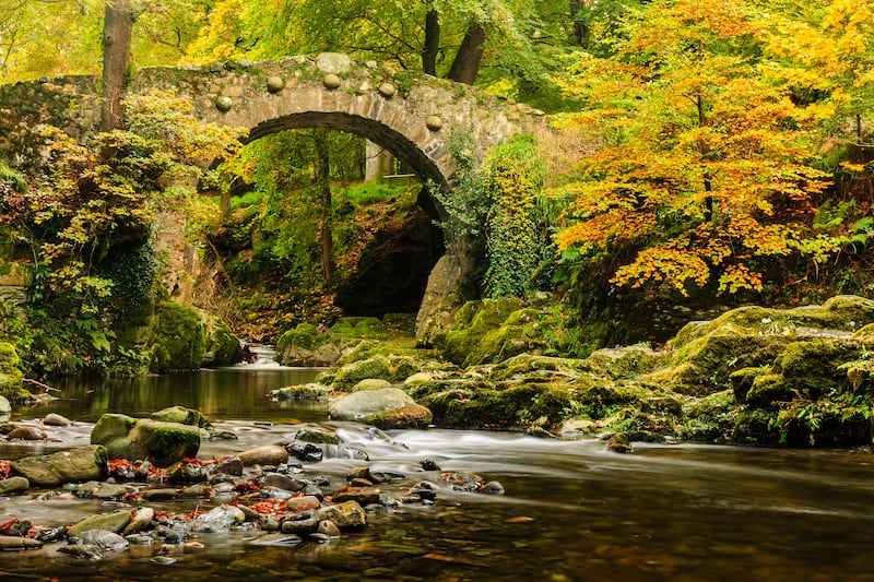 An autumnal shot of Foley’s Bridge over the Shimna River in Tollymore Forest Park in County Down, Ireland