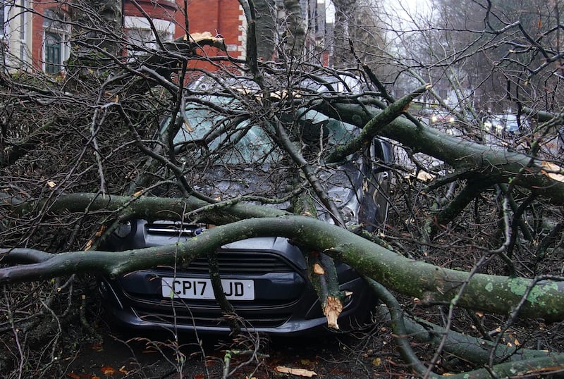 Part of a fallen tree which landed on a car in Greenbank Road, Liverpool