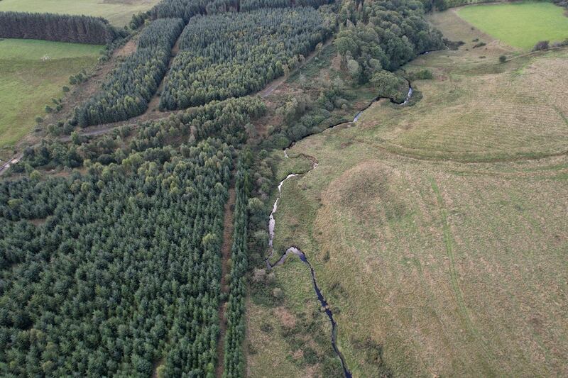 Drone footage of the enclosure before the beavers where released. (National Trust)
