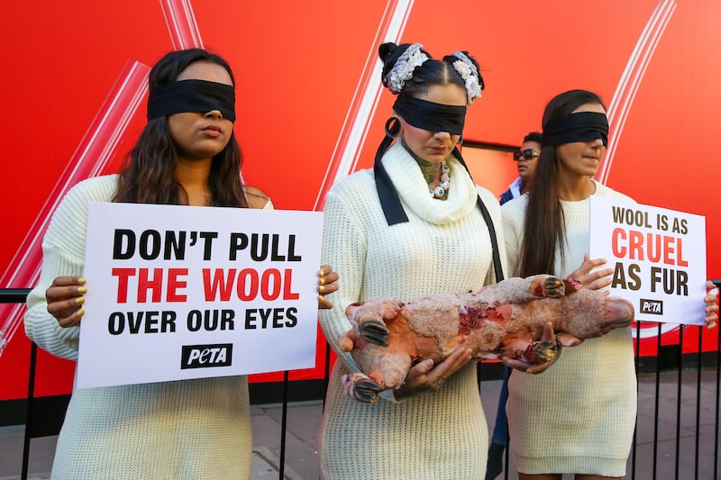 PETA have protested against the use of animal products in fashion at LFW Credit: Dinendra Haria/Alamy Live News