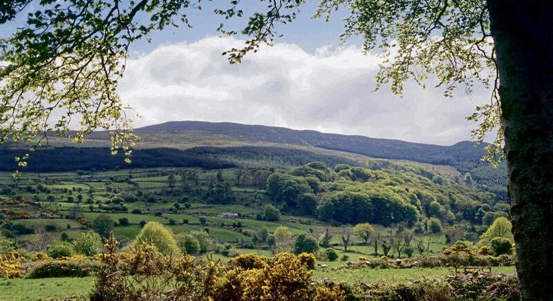 Slieve Gullion Forest Park in south Armagh