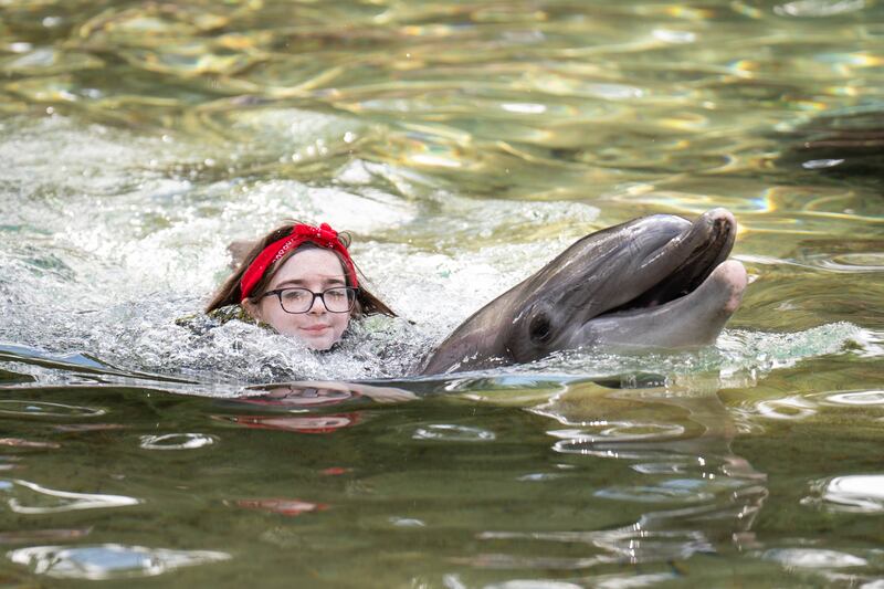 Ayla Dannatt, 12, swims with a dolphin during the Dreamflight visit to Discovery Cove