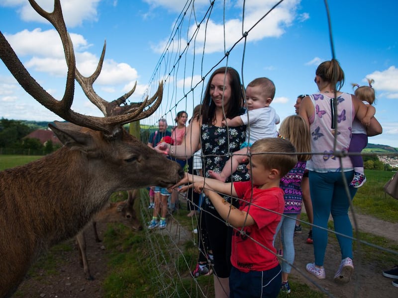 Streamvale Open Farm, Belfast, Co. Antrim- Courtesy of Streamvale Open Farm