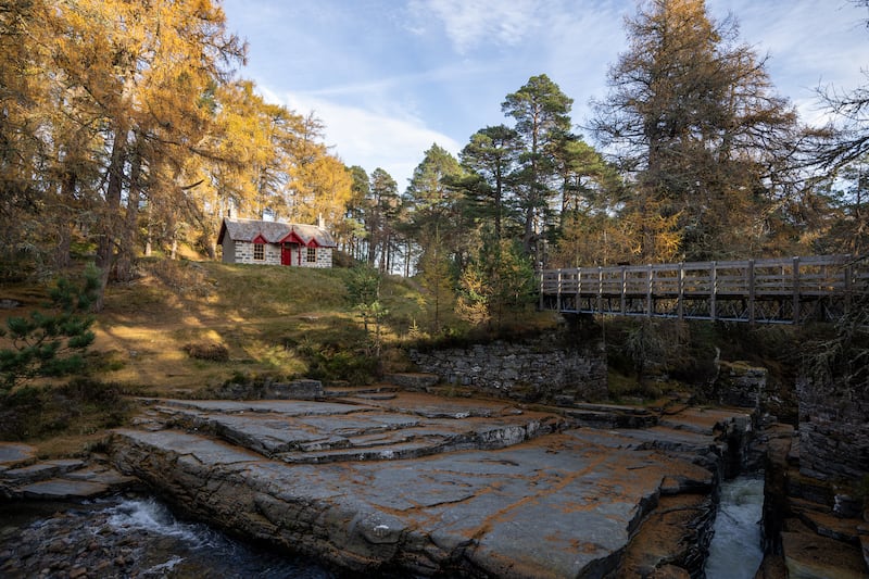 The cottage sits in woodland