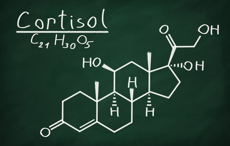 The structure of Cortisol 