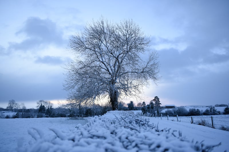 Winter walks