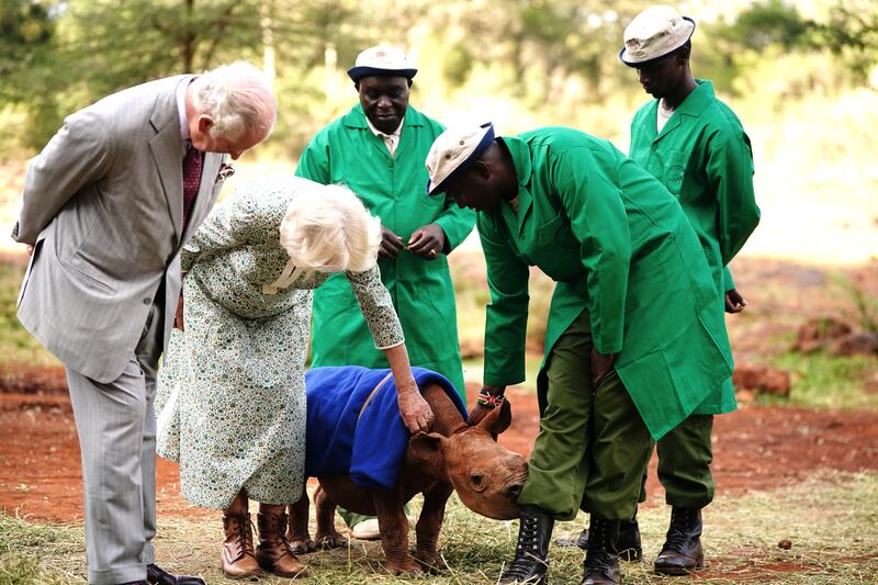 The King and Queen paid a visit to Sheldrick Wildlife Trust Elephant Orphanage in Nairobi National Park on November 1 2023