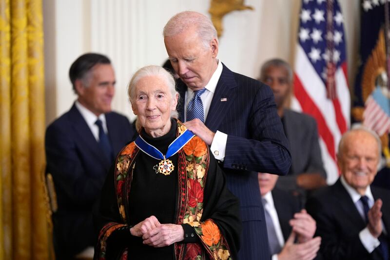 President Joe Biden with conservationist Dame Jane Goodall in the White House (Manuel Balce Ceneta/AP)