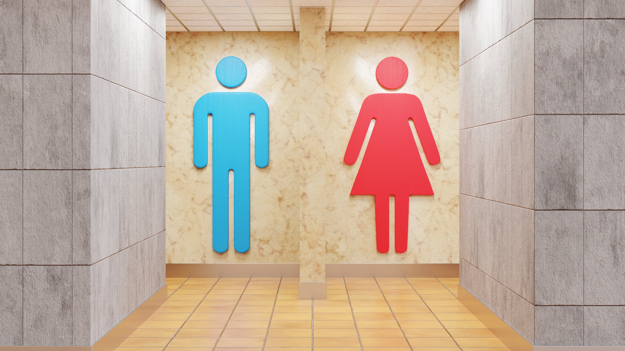 Entrance of a toilet divided into male and female sections by gender icons. Illustration of the concept of legal requirements for toilets in workplaces and public areas
