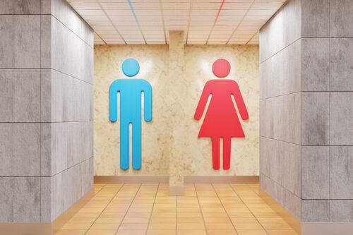 Bra burning and the debate over separate or shared public toilets - Anne Hailes