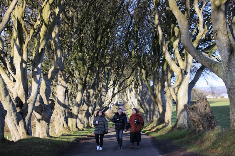 Tourists at the Dark Hedges near Armoy in Co Antrim, an area made world-famous when it was featured on the TV drama Game of Thrones