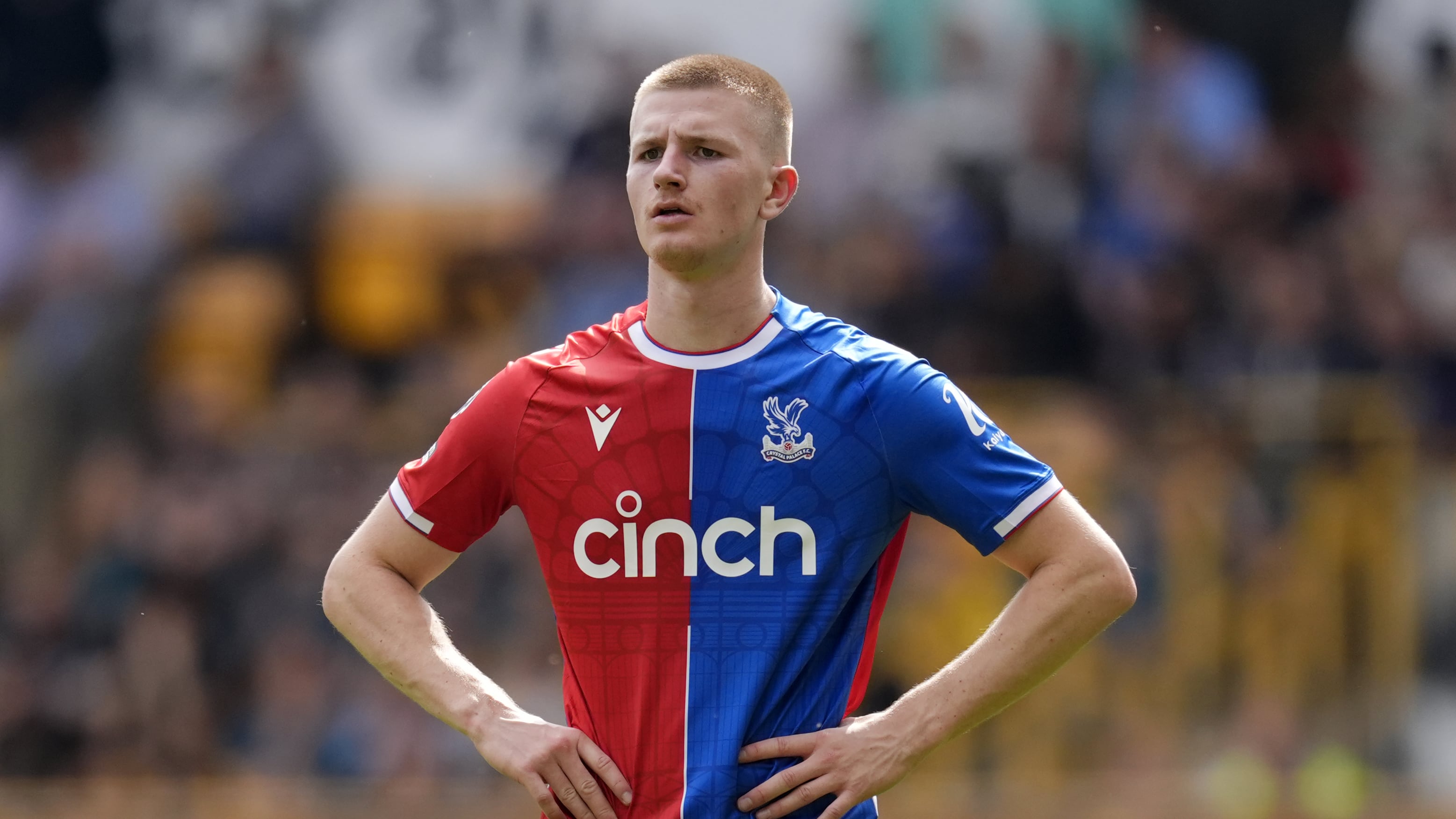 Crystal Palace midfielder Adam Wharton has adapted quickly to life in the Premier League