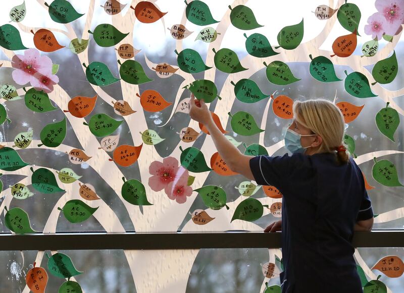 A Covid remembrance tree at Forth Valley Royal Hospital, which was cited as an example of good practice regarding PPE during the pandemic