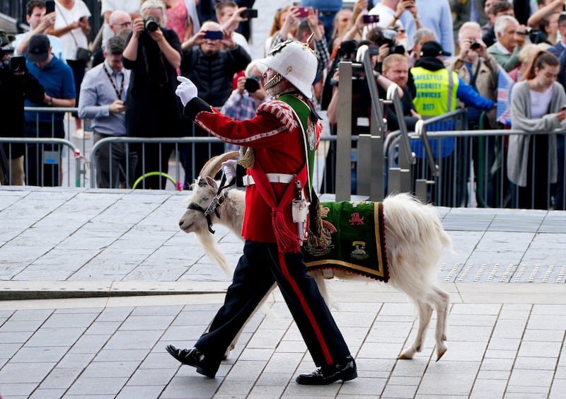 A member of the Royal Welsh with a goat mascot outside the Senedd in Cardiff