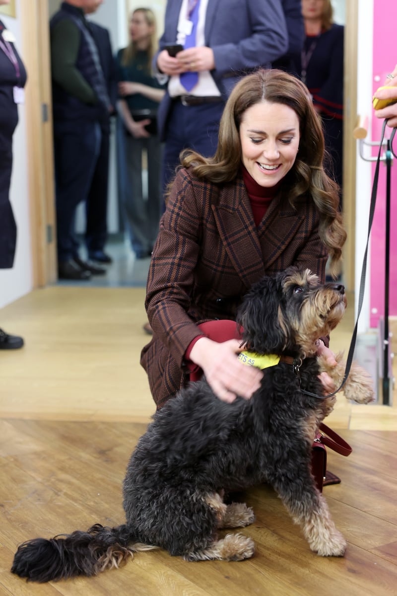 The Princess of Wales meets Scout, a therapy dog