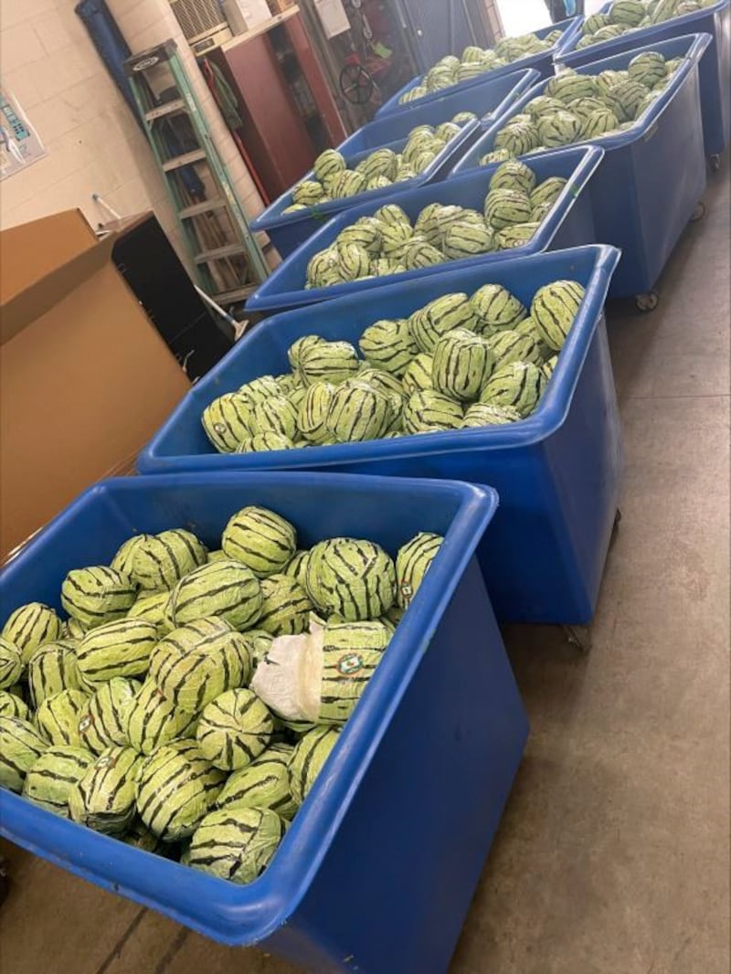 Fake watermelons, used to disguised a shipment of methamphetamines, is shown after a bust by US Customs and Border Protection (AP)