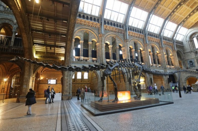 dippy on display in the natural history museum (Yui Mok/PA)