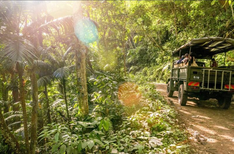 The truck to Liamuiga Natural Farm.