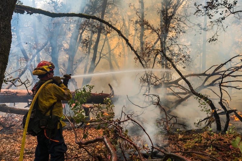 A firefighter sprays water on a fire burning in California (Nic Coury/AP)