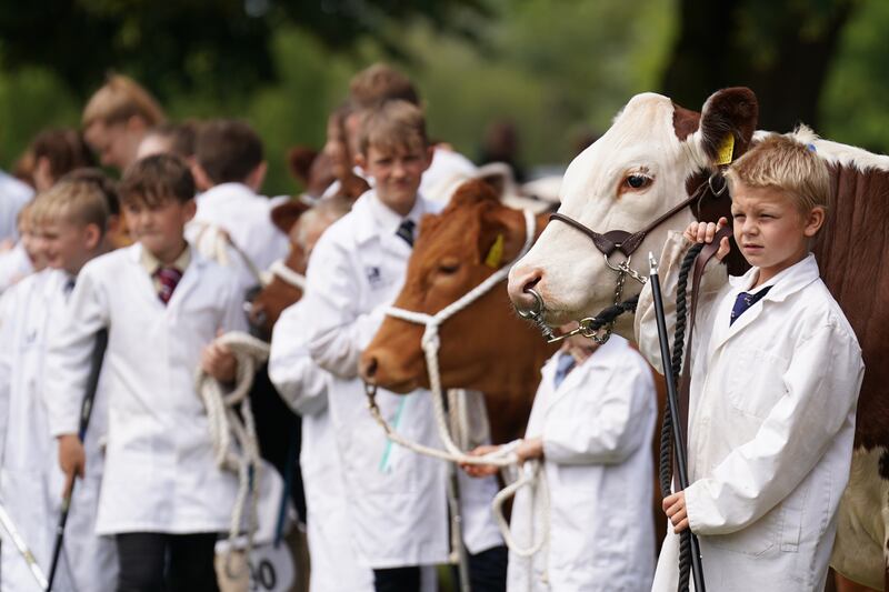 Farmers have seen their prize herds devastated by bovine tuberculosis