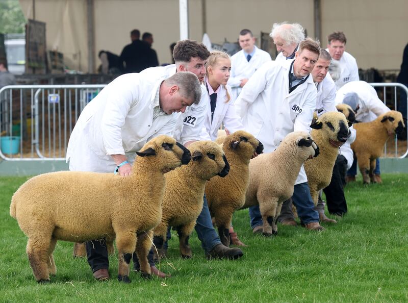 The opening day of the Balmoral Show on Wednesday.
PICTURE COLM LENAGHAN