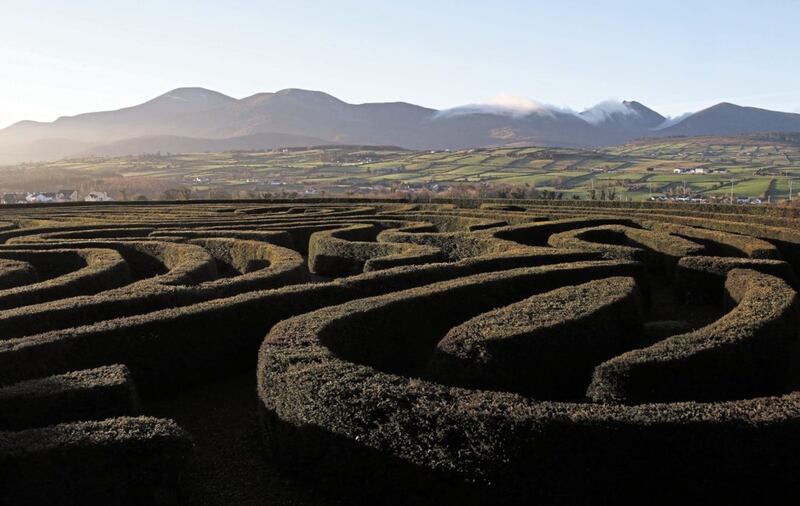 Early morning sun Illuminates the peace maze in Castlewellan, Co Down. Picture by Mal McCann 