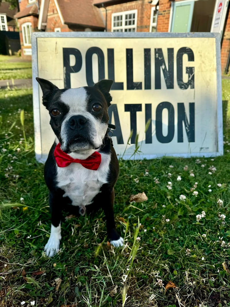 Helen Montague’s dog Heston posing outside Marden polling station in Kent