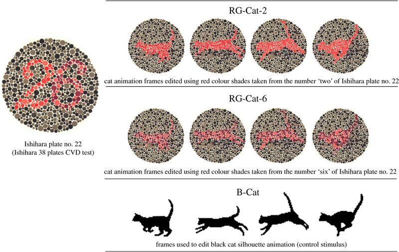 A modified colour blind test was developed for dogs.