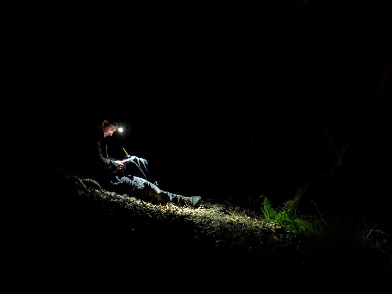 Brogan Pett working on the study at night. (Nick Royle/Woodland Trust)