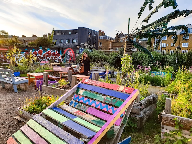 Community gardens can help people reconnect with nature, experts said