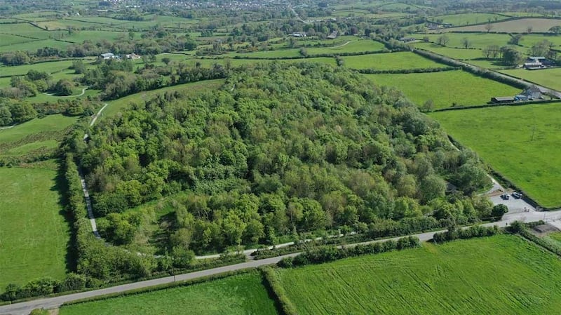 Glasswater Wood, Crossgar, Co Down