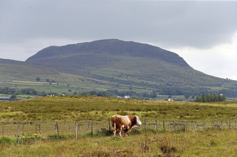 Landmark: Slemish mountain in Co Antrim. Picture: Mal McCann.