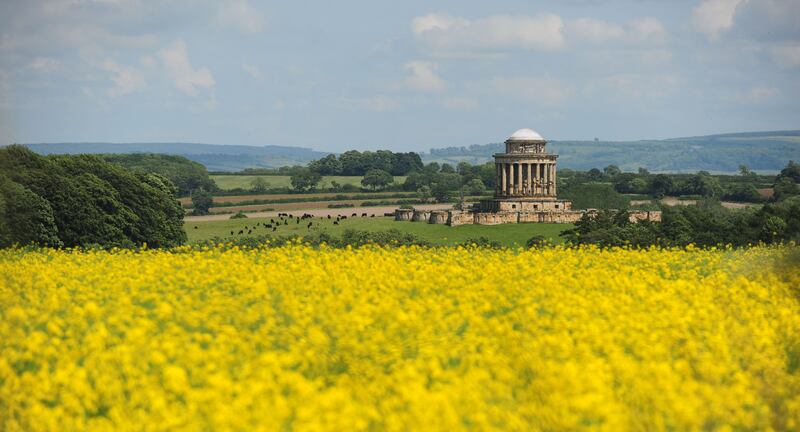 A field of flowering oil seed rape at Castle Howard Mausoleum