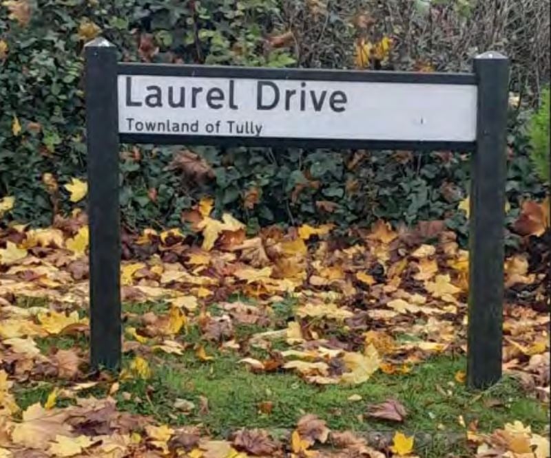 Laurel Drive