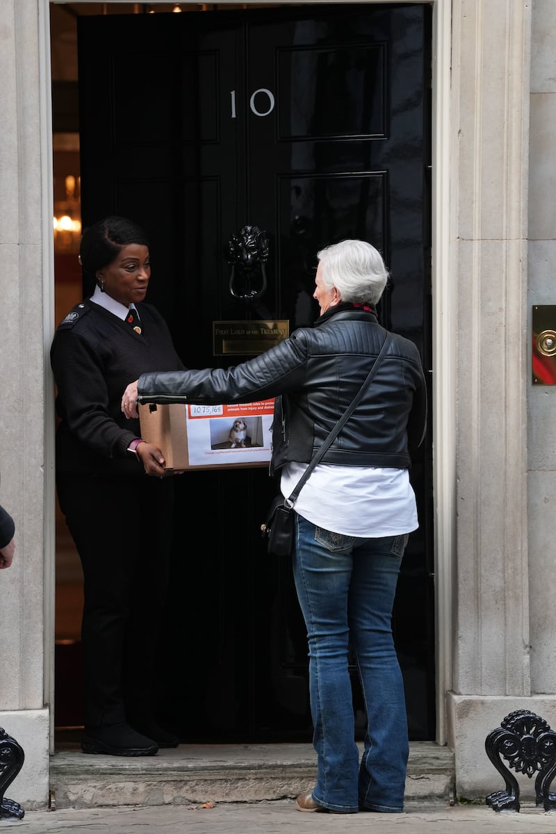 Campaigner Julie Doorne delivers her petition to 10 Downing Street in London