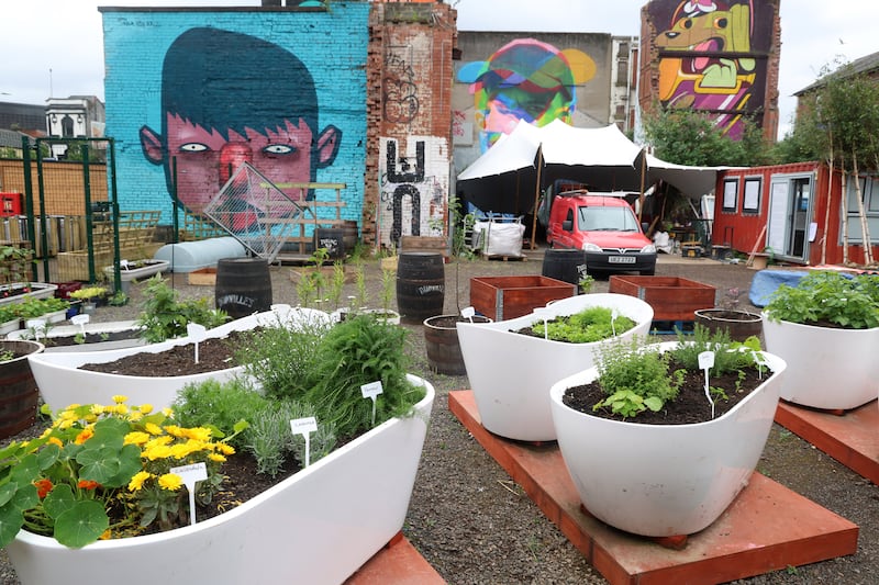‘The BUG’ – Belfast’s Urban Garden site and Brink Community garden near the Sunflower Bar
